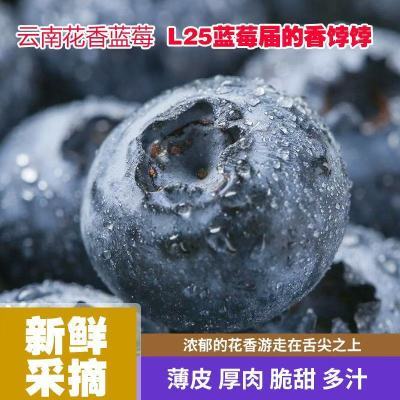 PDD热销产品汇总08点档更新2025/05/29