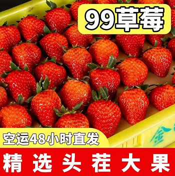 46元包邮！【玖玖农场】丹东99草莓2斤