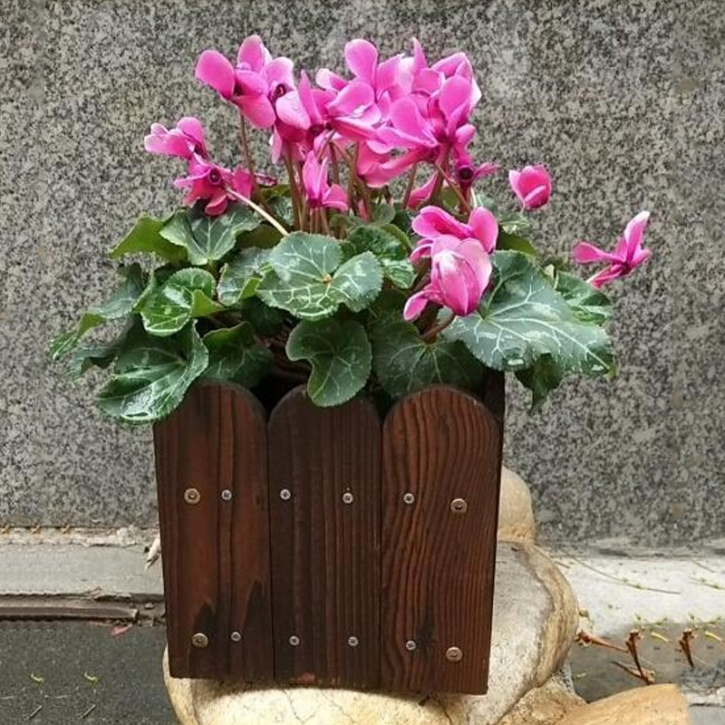 【品岸】碳化防腐木花箱户外种植箱