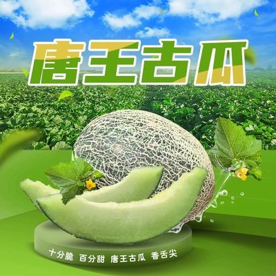 PDD热销产品汇总08点档更新2025/08/12