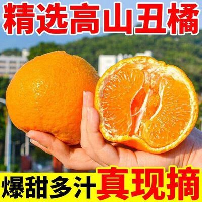 PDD热销产品汇总14点档更新2025/12/03