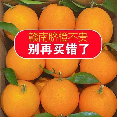 PDD热销产品汇总14点档更新2024/01/26