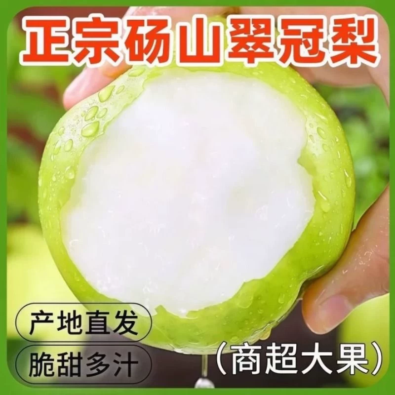 梨子新鲜水果砀山青梨皇冠梨当季翠冠梨香酥脆蜜早雪梨包邮
