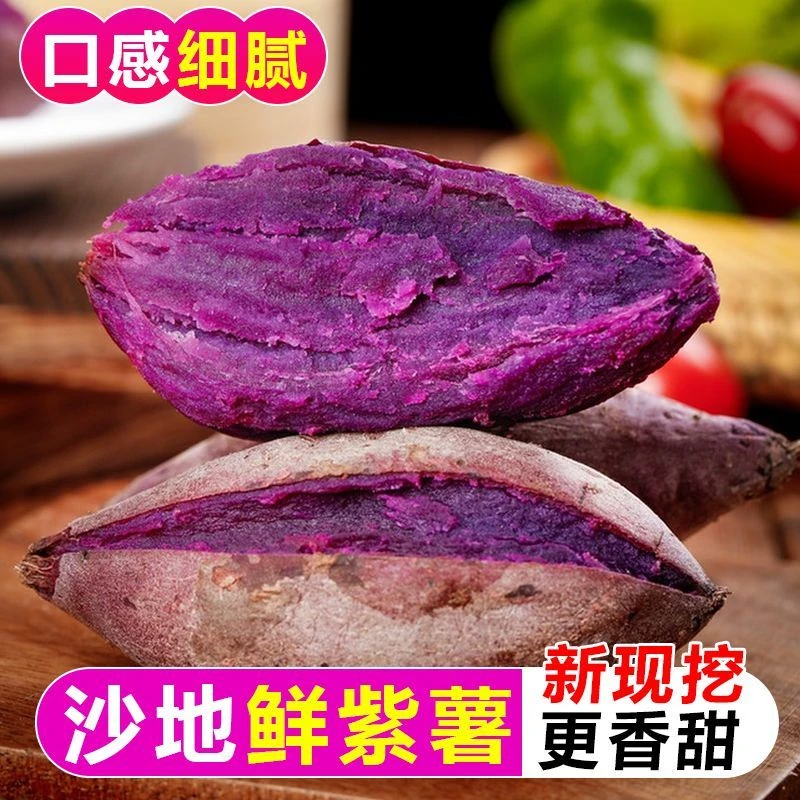 下拉10！沙地紫薯红薯当季现挖5斤