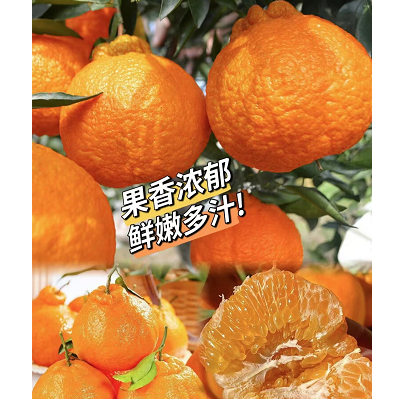 18.9元包邮！四川丑橘 带箱9-10斤