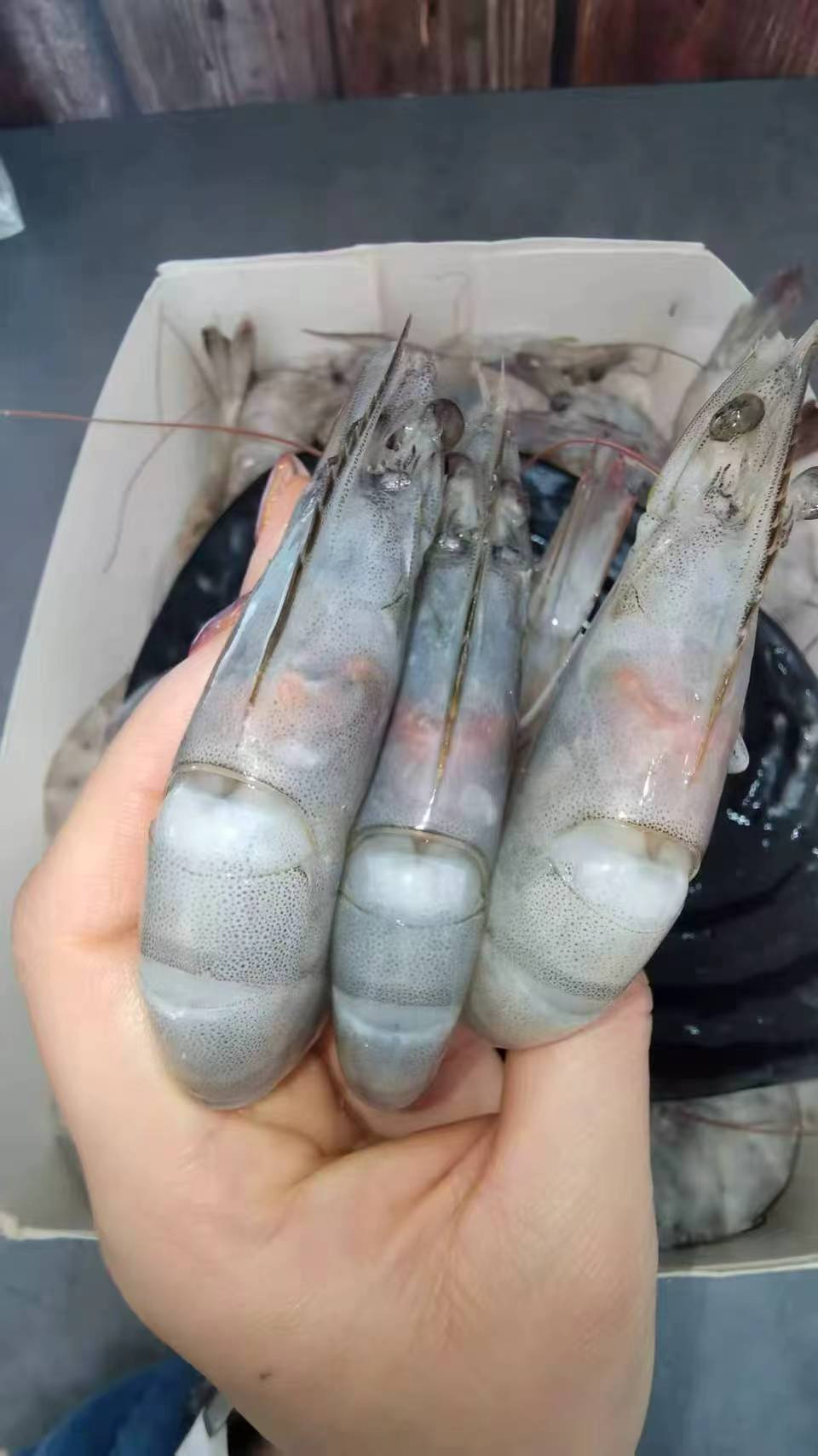 0_3