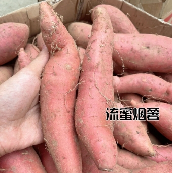7.9元包邮！山东新鲜“烟薯25号” 5斤中大果（好评商家返5元后）