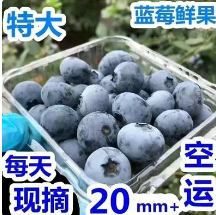 14.9元包邮！现货新鲜蓝莓鲜果 250g（好评商家返3元）