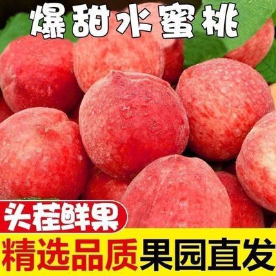 PDD热销产品汇总02点档更新2024/06/14