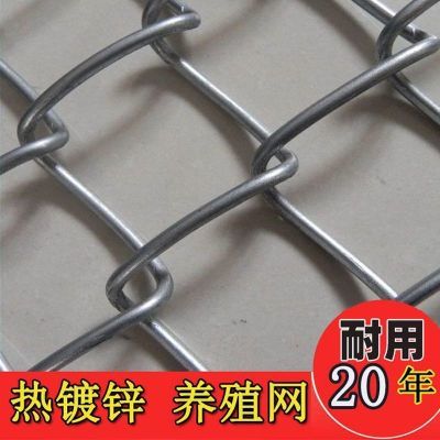 PDD热销产品汇总20点档更新2025/02/28