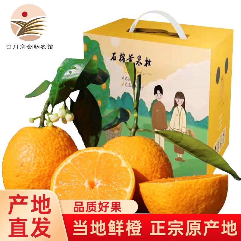 【产地直发】四川雅安 当季新鲜水果 柑橘 中果60-70m 带箱5斤