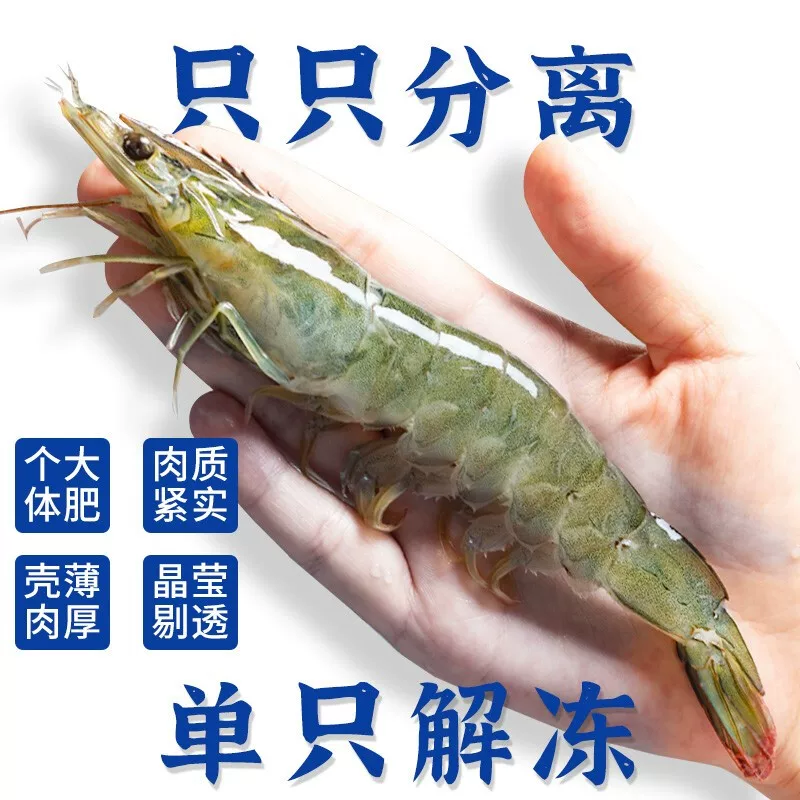 大虾鲜活速冻基围虾冷冻海虾青岛大虾2030盐冻无冰海鲜18-20厘米