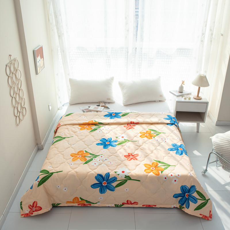 【全尺寸一个价】空调被夏凉被