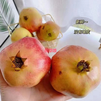 9.8元包邮！突尼斯软籽石榴 新鲜上架3斤（HP商家返2元）