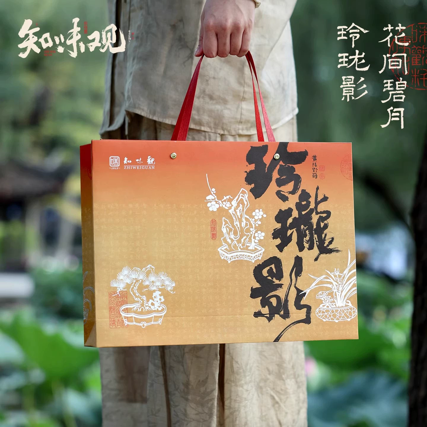 T猫热销产品汇总14点档更新2025/09/29