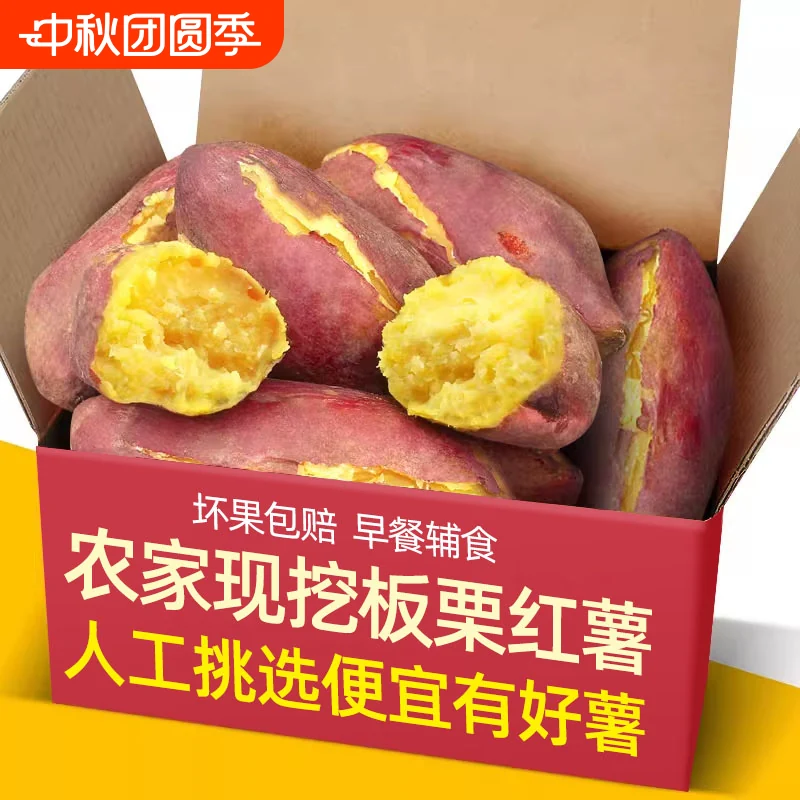 农家板栗黄薯8.5斤