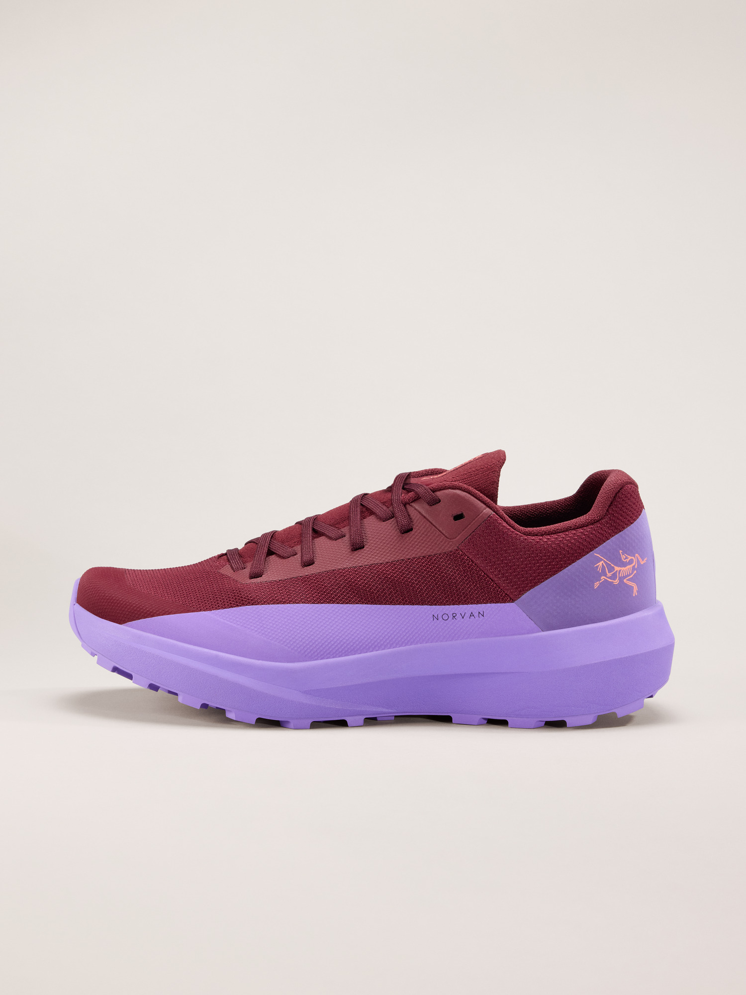 Arcteryx Norvan LD 4 Shoe Women's