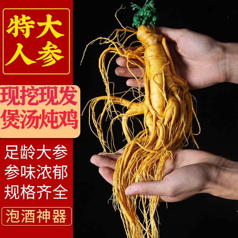 7.9元包邮！东北长白山人参35g左右