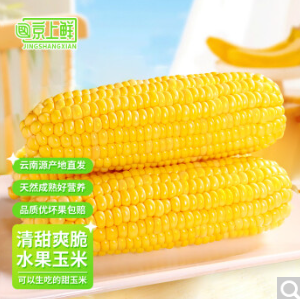 4.9元包邮！上鲜云南黄金水果玉米 现摘2根装