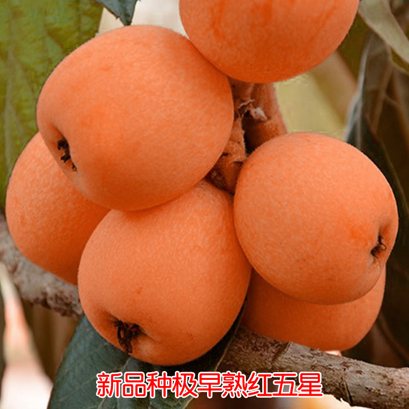 J东热销产品汇总08点档更新2024/02/12