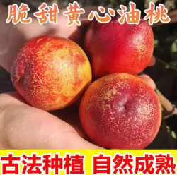15.9元包邮！头茬新鲜黄心油桃 3斤