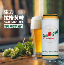 60元！生力啤酒 黄啤 440ml*20罐