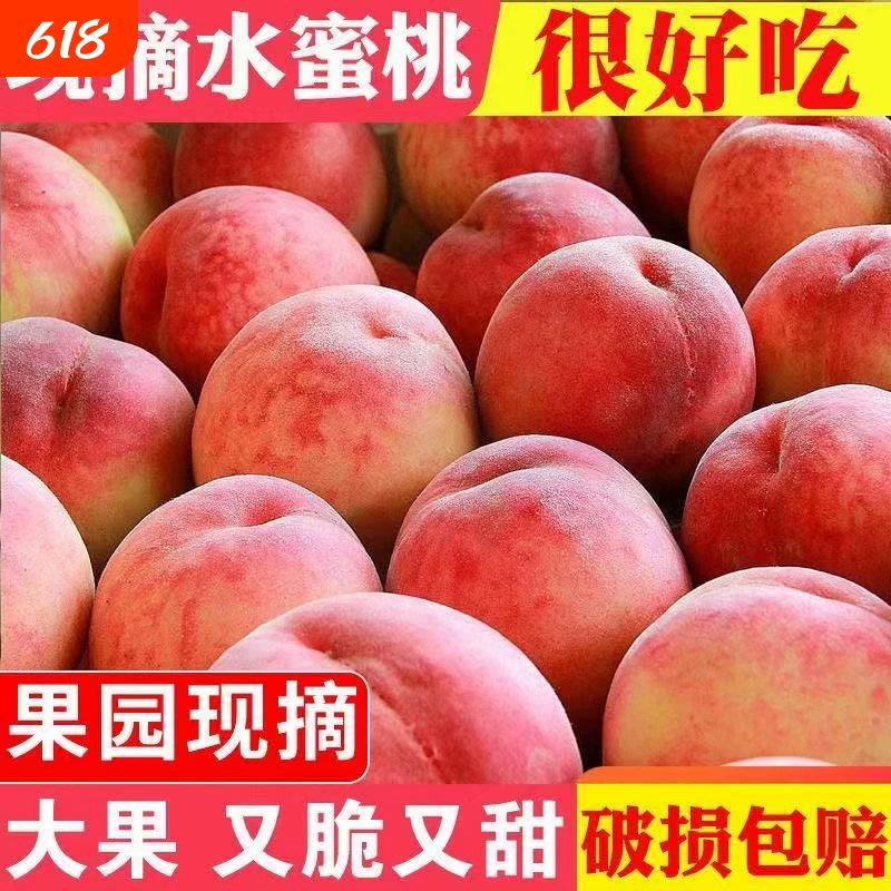 现摘现发新鲜水蜜脆桃现货水果孕妇大桃子大果整箱批发价蜜桃自提