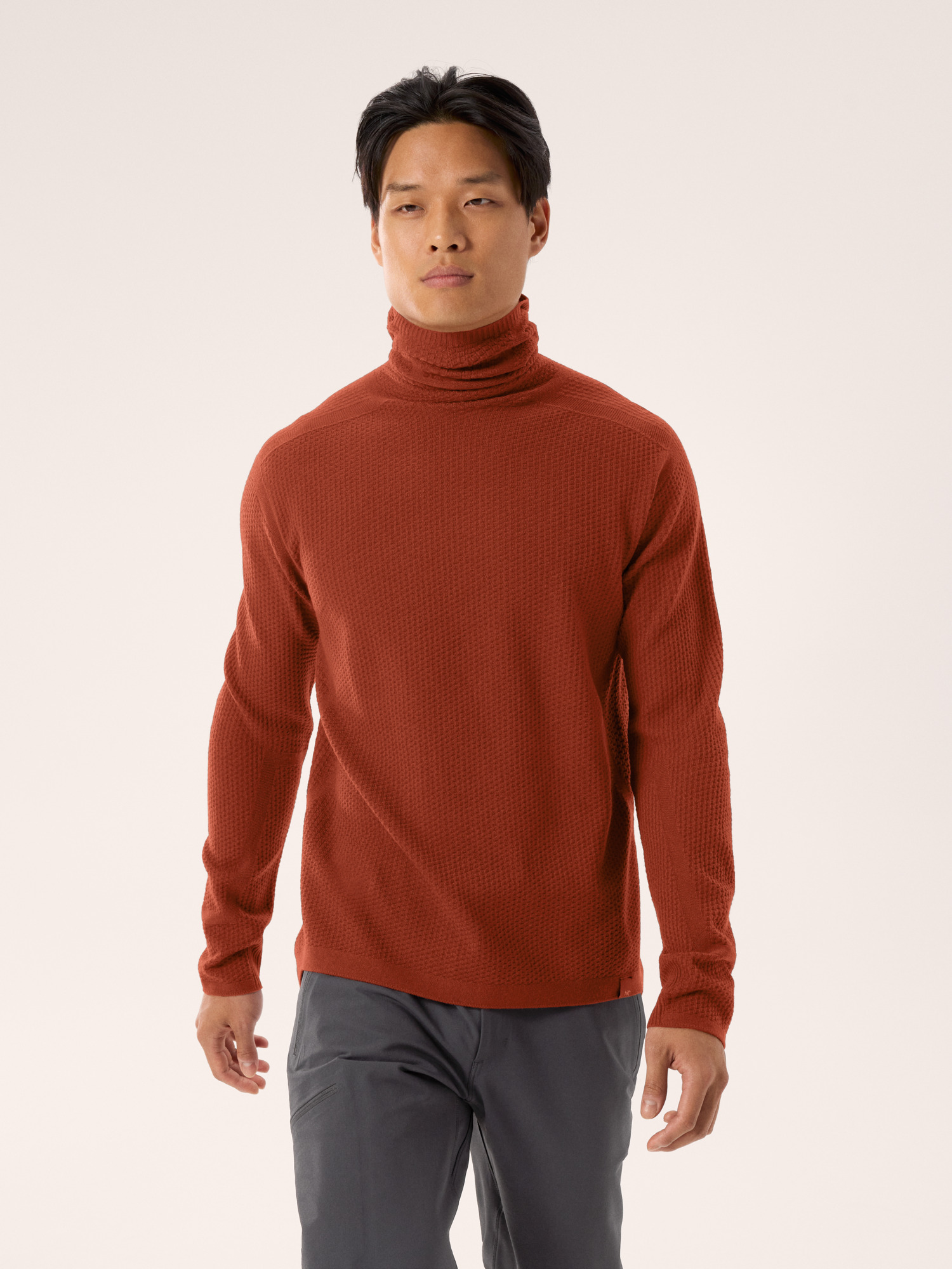 Arcteryx Hallam Merino Wool Hoody Men's