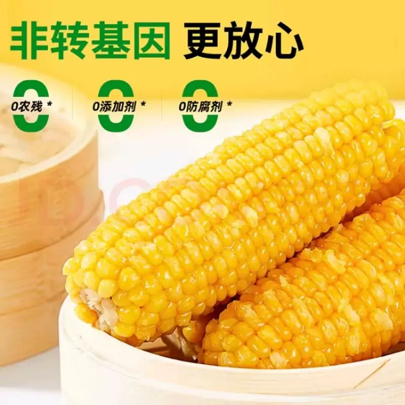 单支240g！东北黄糯玉米8支