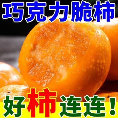 PDD热销产品汇总08点档更新2024/10/16