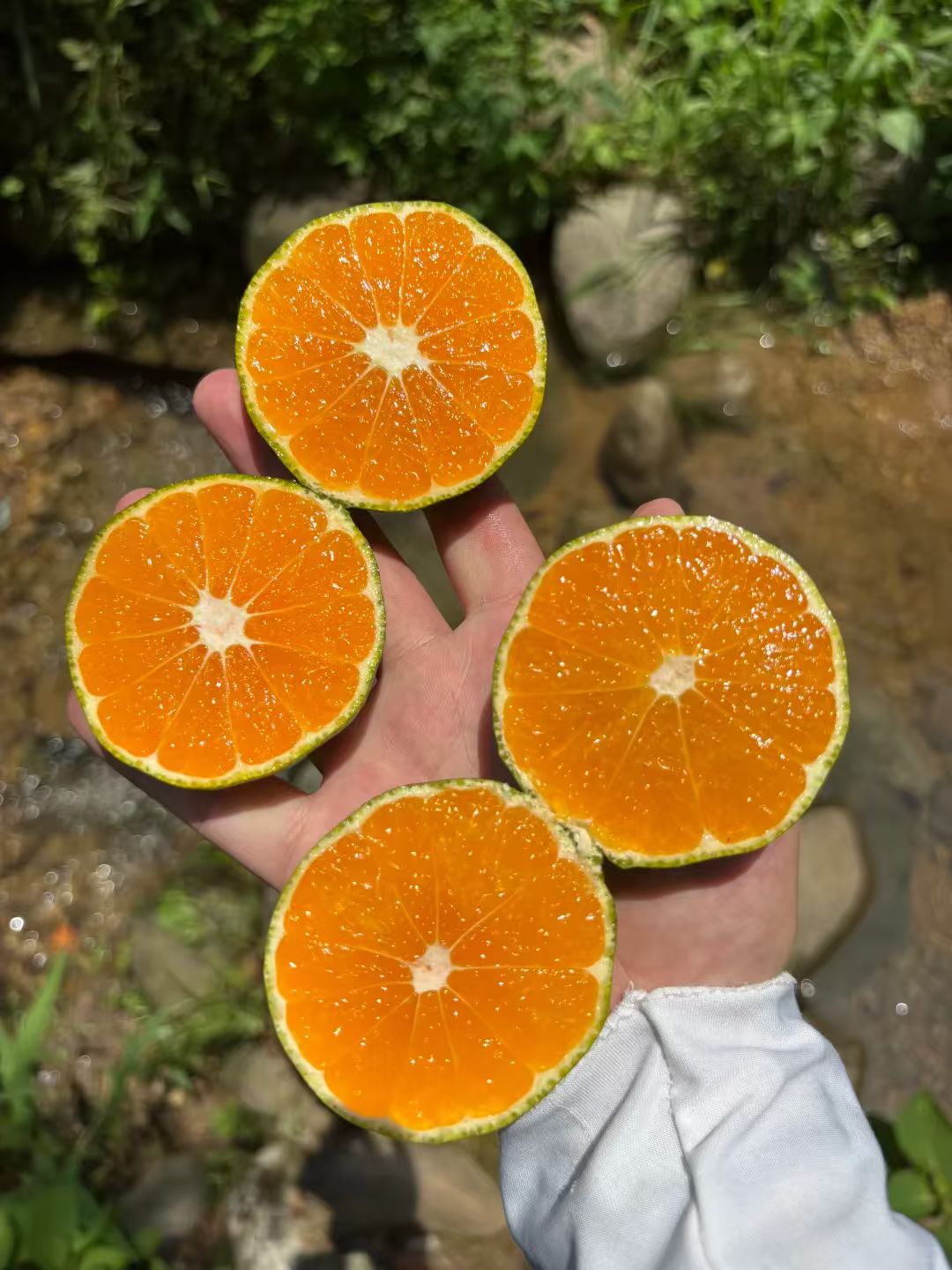 0_3