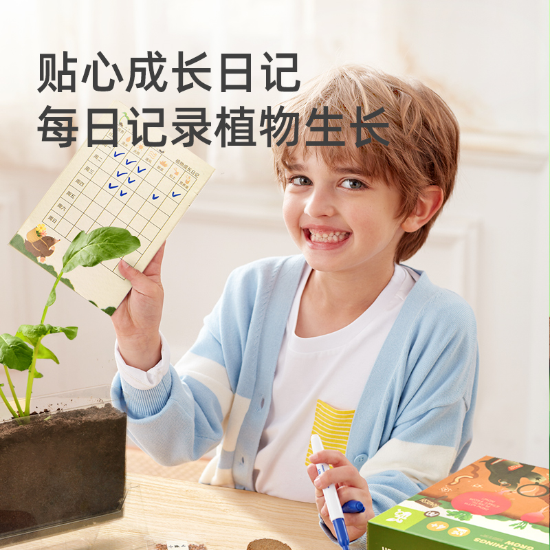 弥鹿阳光房种植儿童实验套装