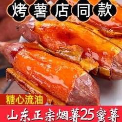 9元包邮！山东烟薯25号大果5斤