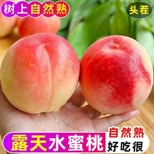 新鲜脆甜水蜜桃当季时令水果桃子毛桃现摘脆整箱包邮自提天水经营