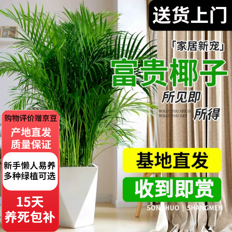 J东热销产品汇总20点档更新2025/06/13