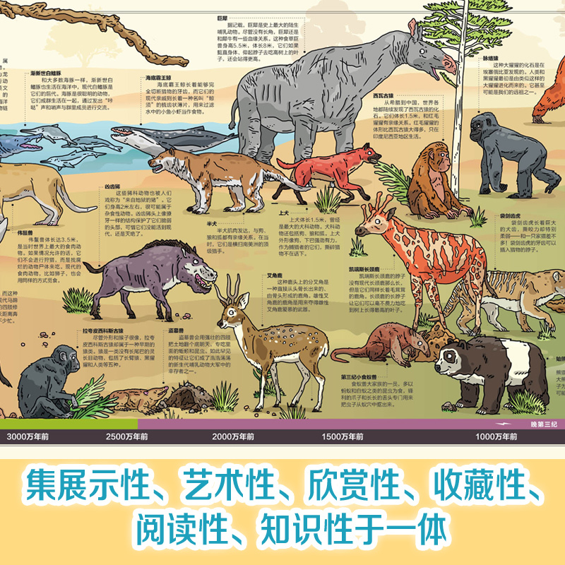 儿童动物知识1.8米科普长卷