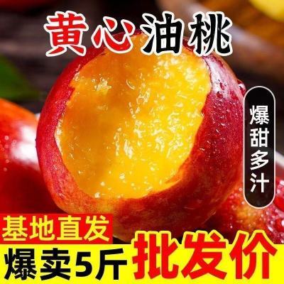 PDD热销产品汇总14点档更新2025/05/21