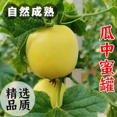 PDD热销产品汇总08点档更新2025/05/02
