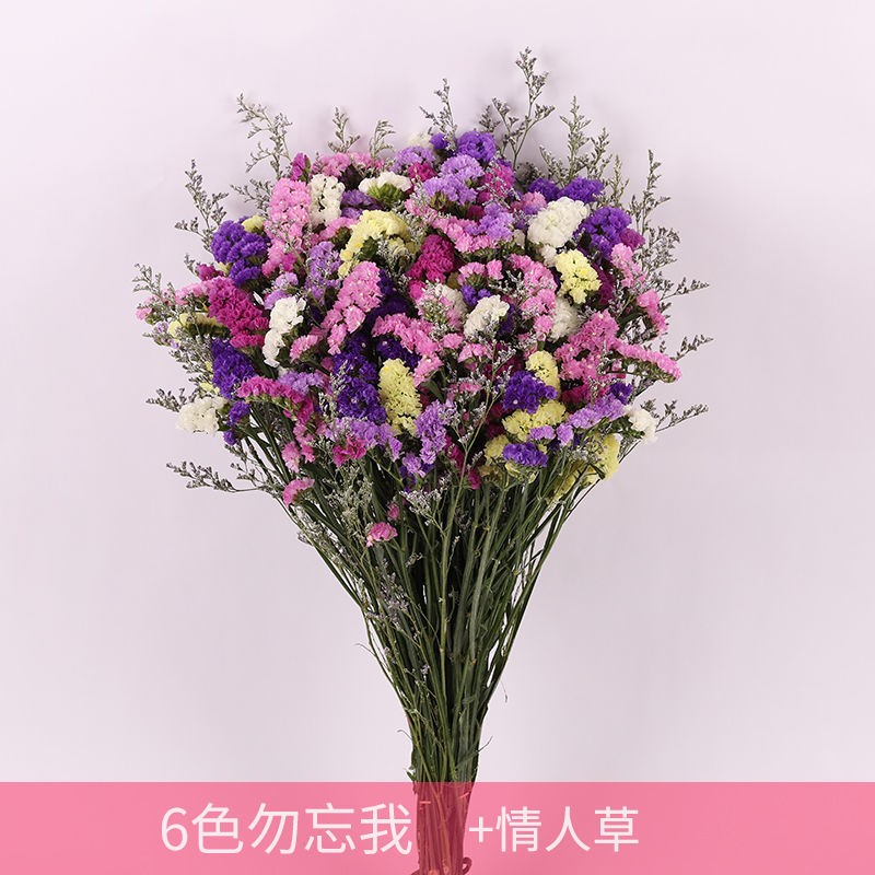轻奢高档满天星勿忘我 一大束【30-35支】