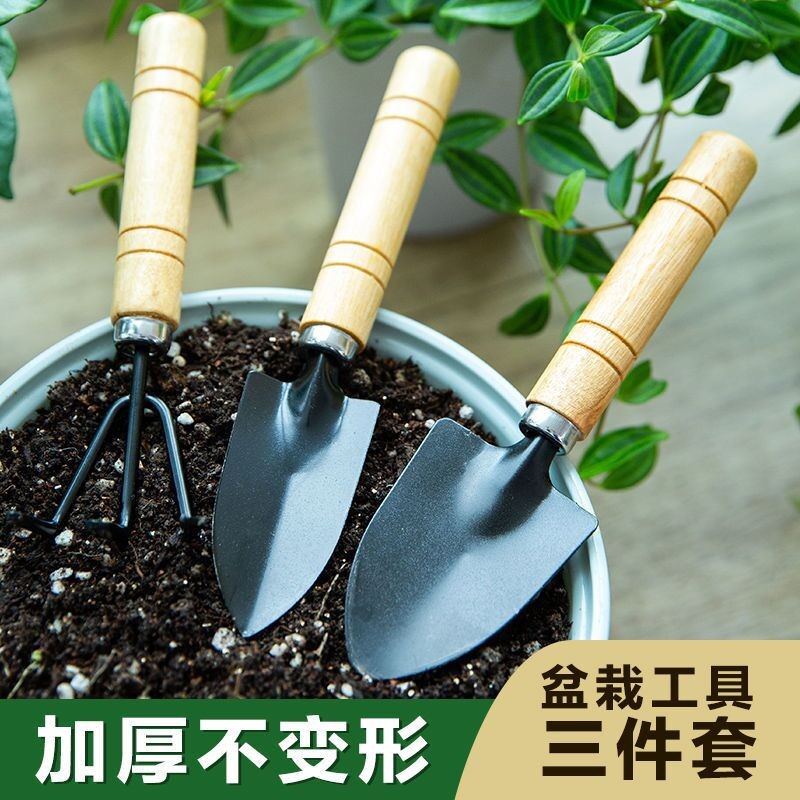 【漏洞价6.9元】四季姑娘 园艺三件套