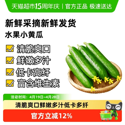 【页补贴折上折】水果黄瓜生吃蘸酱荷兰无刺时令白玉黄蔬菜水