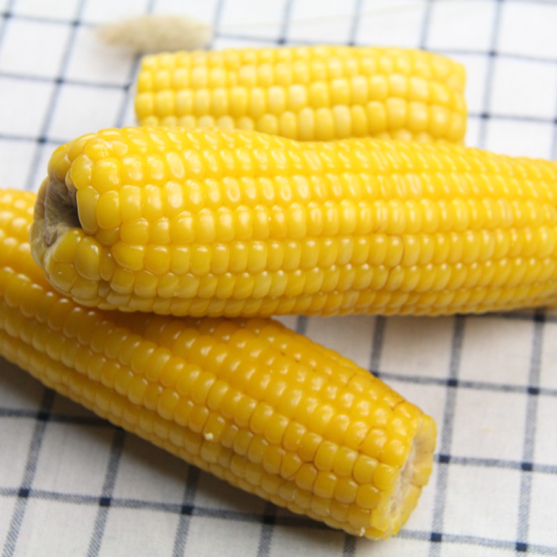 新鲜东北黏糯甜粘黄玉米2400g