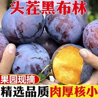 PDD热销产品汇总08点档更新2023/11/03