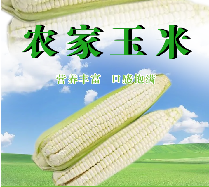 沂蒙荟馨园玉米棒好吃吗，沂蒙荟馨园玉米棒有添加剂吗