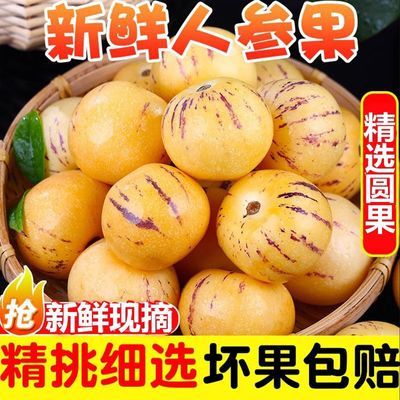 PDD热销产品汇总20点档更新2026/03/28