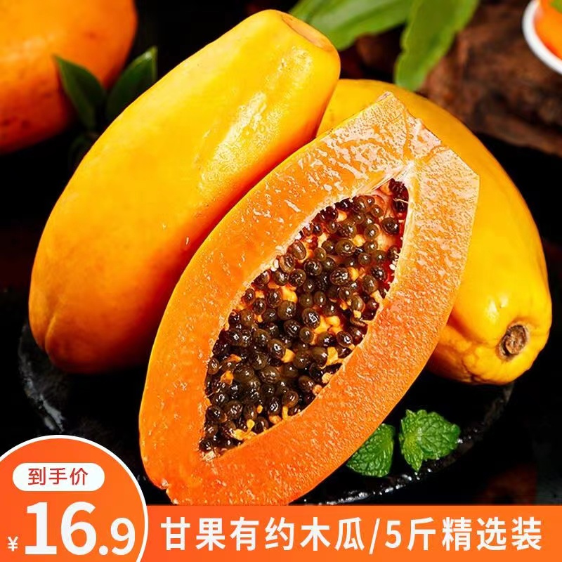 【已验货】甘果有约 广西红心木瓜 5斤