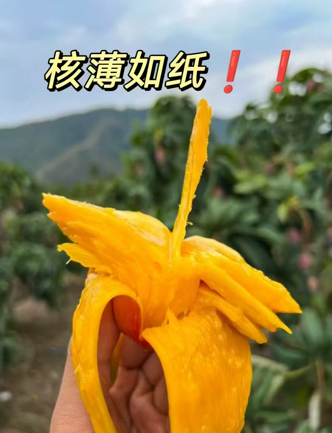 0_4