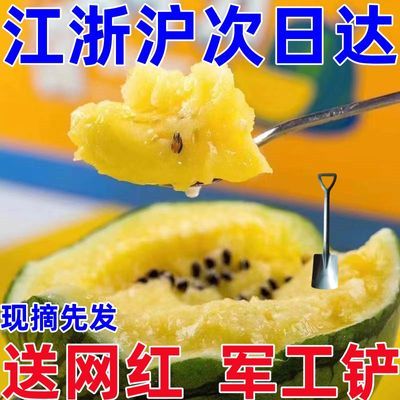 PDD热销产品汇总02点档更新2024/05/11