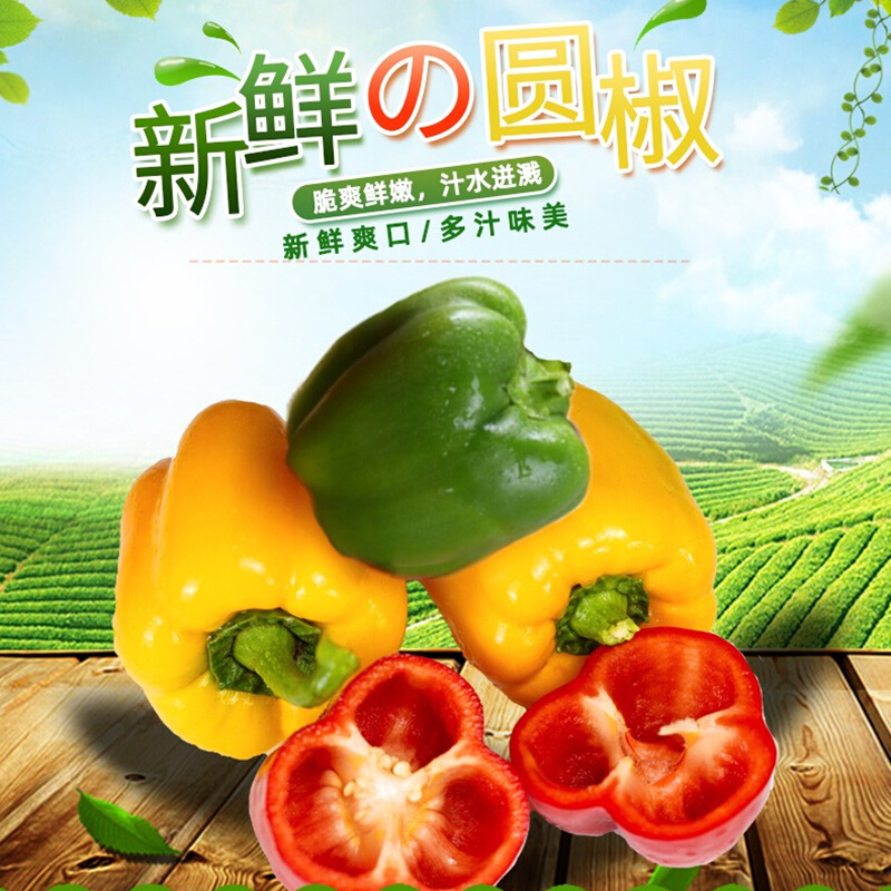 【JD旗舰店】佑嘉木 青甜椒七彩椒 5斤