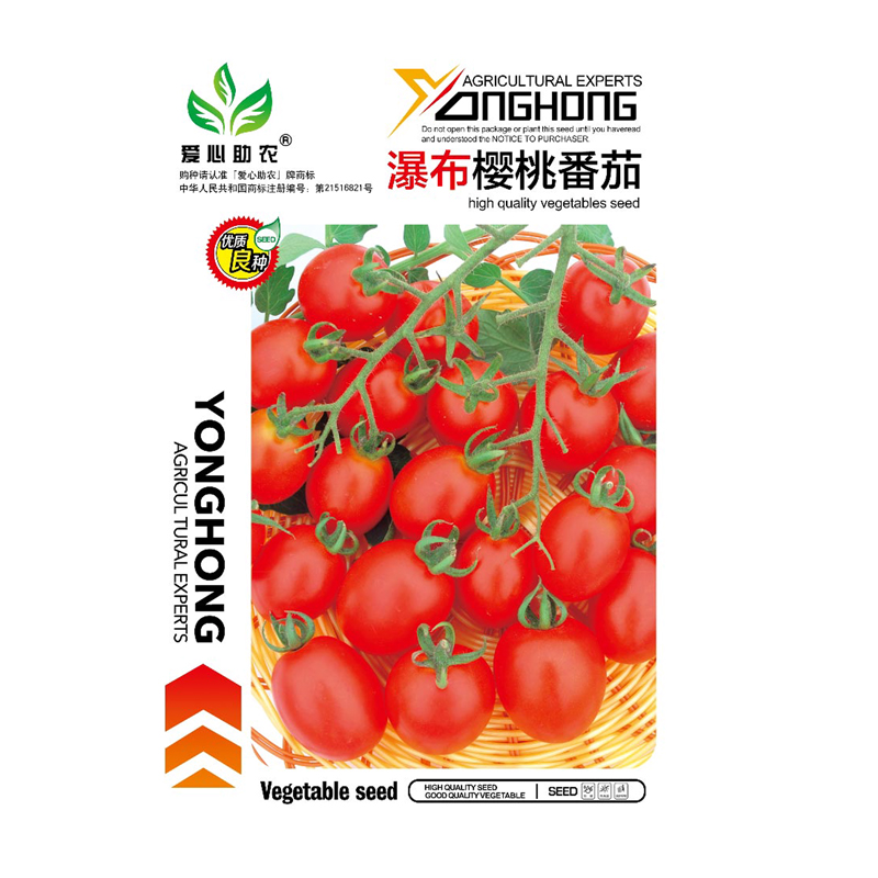 可签到！瀑布小番茄千禧樱桃西红柿种孑